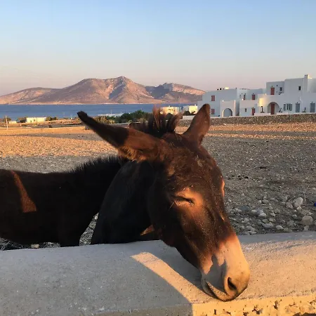 Theia - Selene , De Charme Pour 4 à 6 Personnes Prés De La Et Du Village De Koufonissi Apartamento Koufonisia
